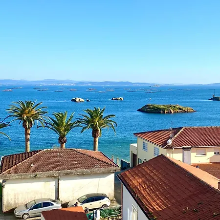 4 Palmeiras * Palmeira