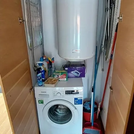 4 Palmeiras Palmeira