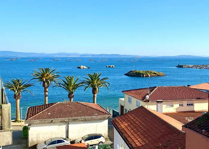 4 Palmeiras * Palmeira