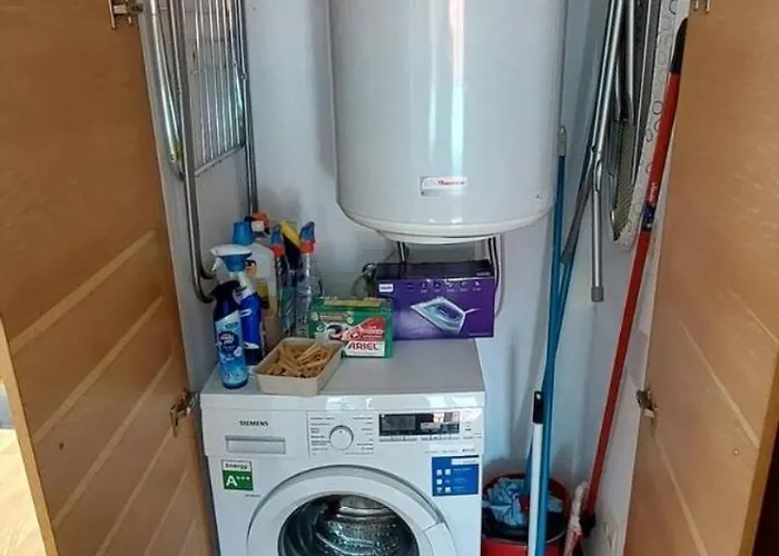 4 Palmeiras Palmeira